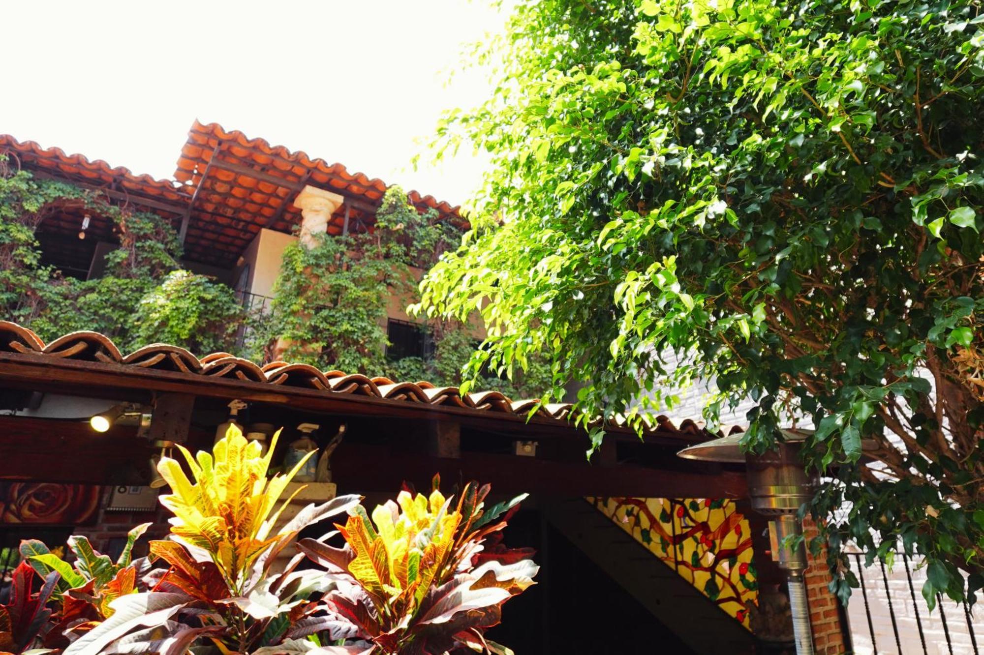 Enjoy Ac In The Queen'S Suite At Inn Ajijic Exterior foto